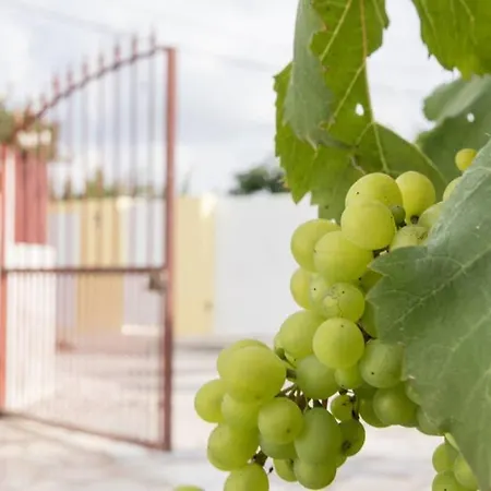 Casa Do Moleiro Holiday home *