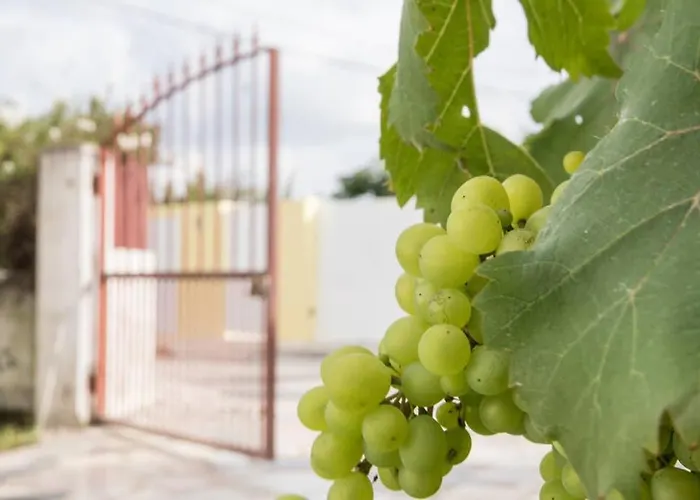 Casa Do Moleiro Ferienhaus *